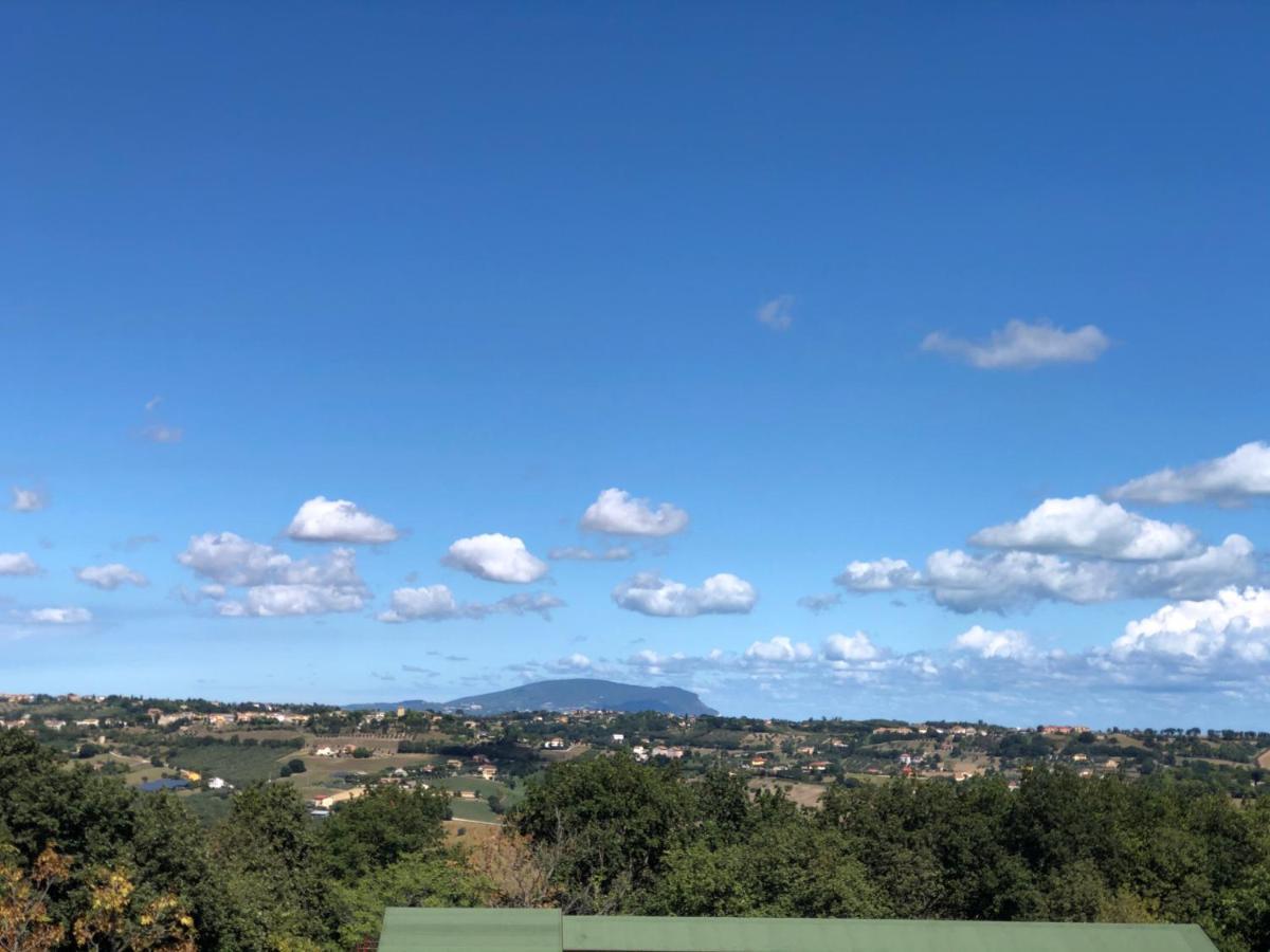 Belle Marche