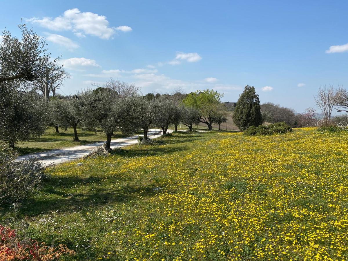 Belle Marche Frühstückspension
