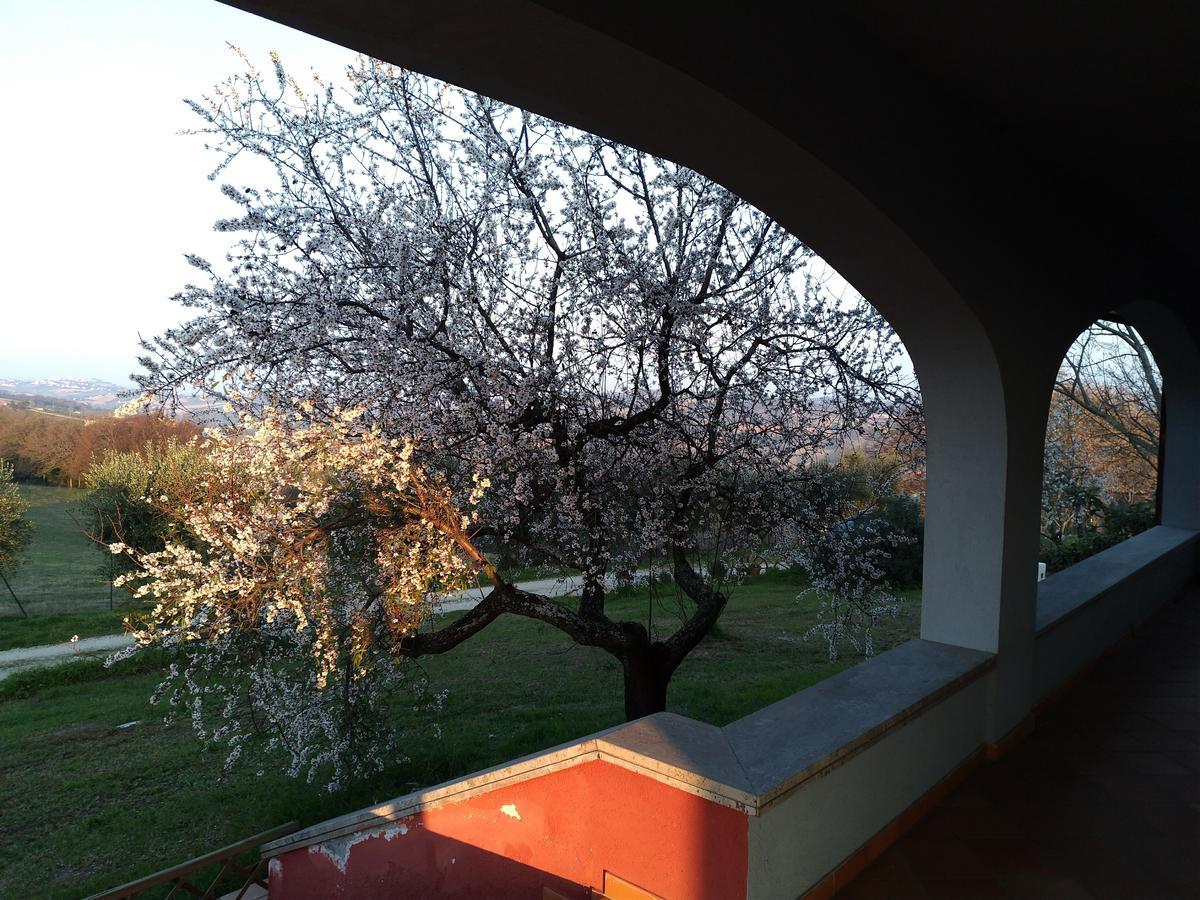 Belle Marche *