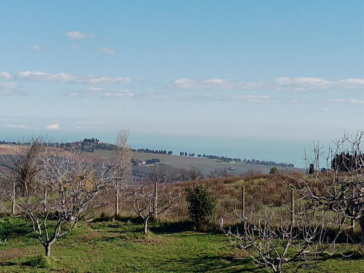 Frühstückspension Belle Marche Civitanova Alta